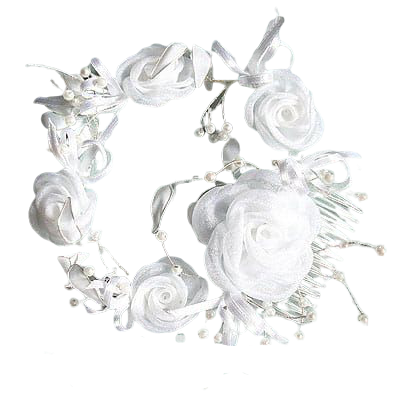 500_500_productGfx_9f0f31f3935442a69c510eef865b75b5-removebg-preview.png